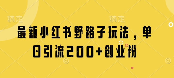 最新小红书野路子玩法，单日引流200+创业粉-苍穹网创