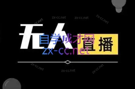 宝子哥·无人直播-非实时防风技术(更新8月)-苍穹网创