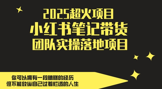 2025超火项目，副业最佳选择，小红书笔记带货团队实操落地项目，，轻松日入5张-苍穹网创