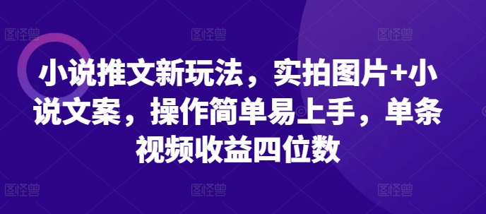 小说推文新玩法，实拍图片+小说文案，操作简单易上手，单条视频收益四位数-苍穹网创