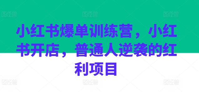 小红书爆单训练营，小红书开店，普通人逆袭的红利项目-苍穹网创