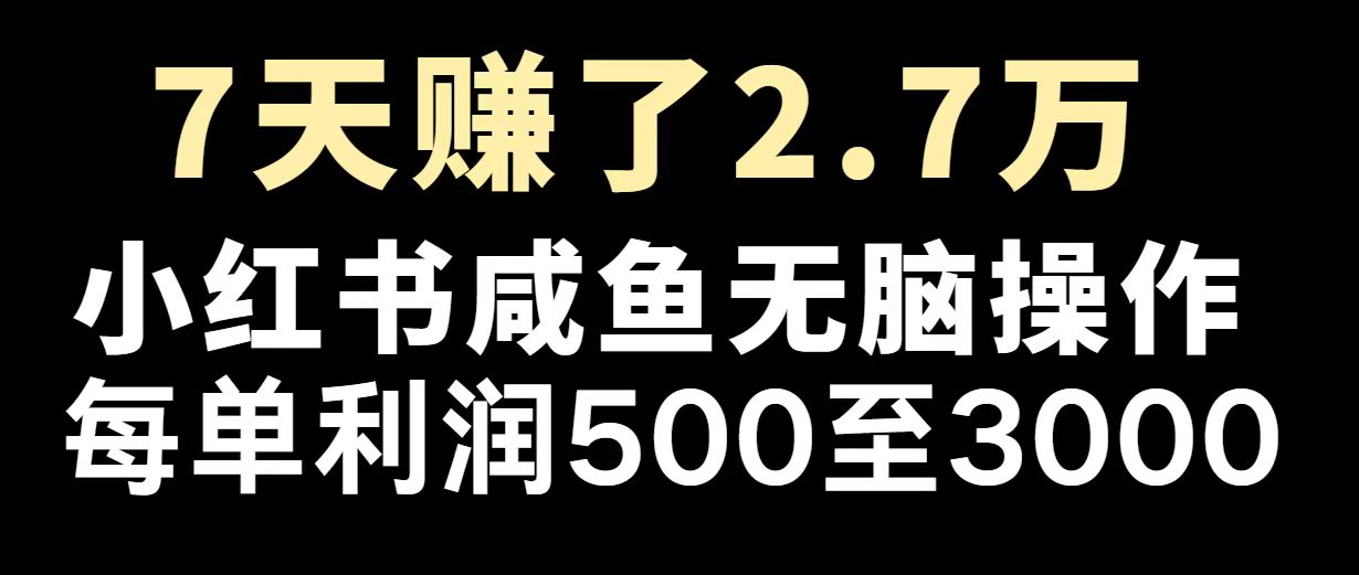 最赚钱项目之一，2025爆火，逆风翻盘！-苍穹网创