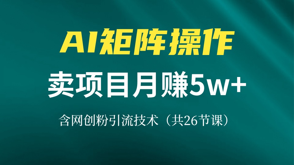 网创IP打造课，借助AI卖项目月赚5万+，含引流技术(共26节课-苍穹网创