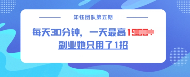 副业她只用了1招，每天30分钟，无脑二创，一天最高1.5k-苍穹网创