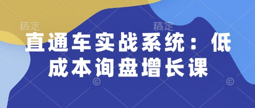直通车实战系统：低成本询盘增长课，让个人通过技能实现升职加薪，让企业低成本获客，订单源源不断-苍穹网创
