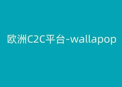 欧洲C2C平台-wallapop-kim跨境电商教程-苍穹网创