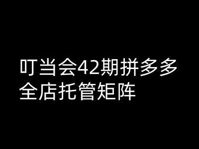 叮当会拼多多打爆班原创高阶技术第42期，拼多多全店托管矩阵-苍穹网创