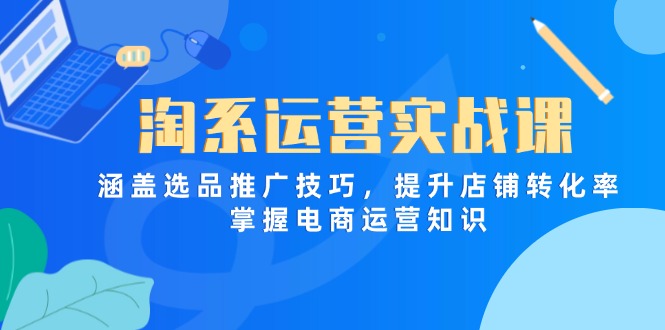 淘系运营实战课，涵盖选品推广技巧，提升店铺转化率，掌握电商运营知识-苍穹网创