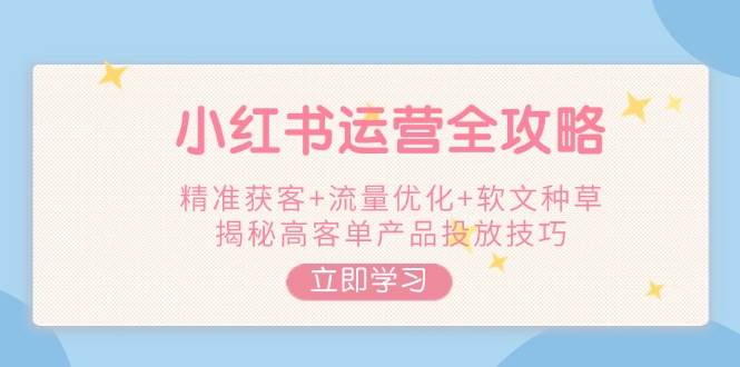 小红书运营全攻略，精准获客+流量优化+软文种草，揭秘高客单产品投放技巧-苍穹网创