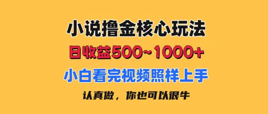 小说撸金核心玩法，日收益500-1000+，小白看完照样上手，0成本有手就行-苍穹网创