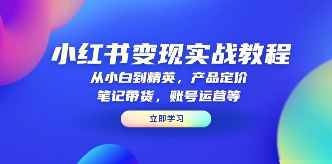 小红书变现实战教程：从小白到精英，产品定价，笔记带货，账号运营等-苍穹网创