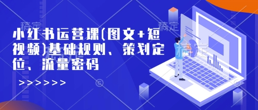 小红书运营课(图文+短视频)基础规则、策划定位、流量密码-苍穹网创