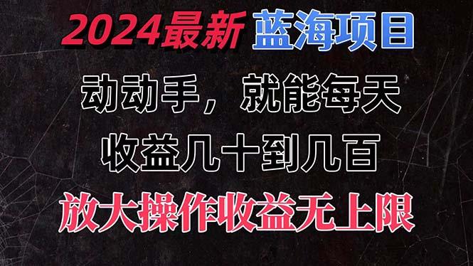 有手就行的2024全新蓝海项目，每天1小时收益几十到几百，可放大操作收…-苍穹网创