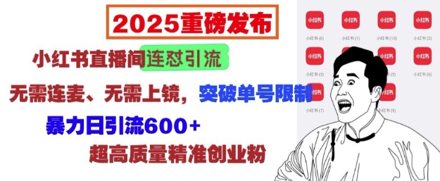 2025重磅发布：小红书直播间连怼引流，无需连麦、无需上镜，突破单号限制，暴力日引流600+-苍穹网创