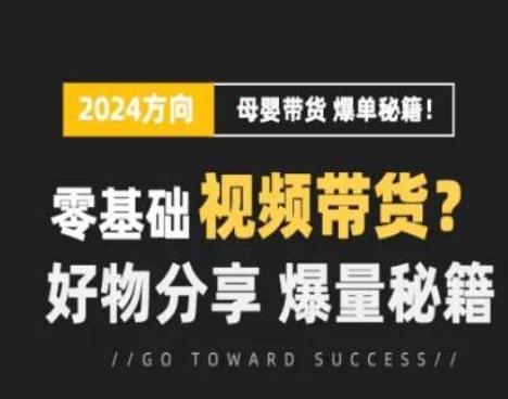 短视频母婴赛道实操流量训练营，零基础视频带货，好物分享，爆量秘籍-苍穹网创