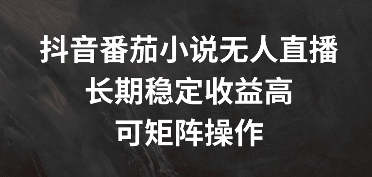 抖音番茄小说无人直播，长期稳定收益高，可矩阵操作【揭秘】-苍穹网创