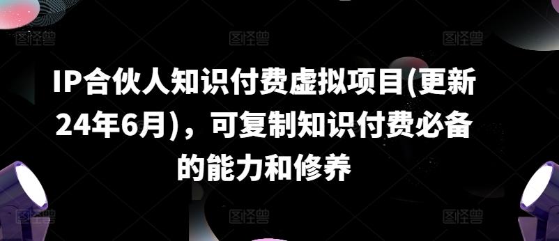 IP合伙人知识付费虚拟项目(更新24年6月)，可复制知识付费必备的能力和修养-苍穹网创