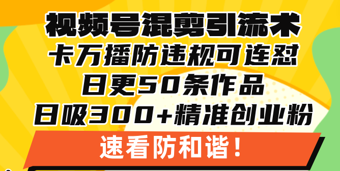 视频号混剪引流技术，500万播放引流17000创业粉，操作简单当天学会-苍穹网创