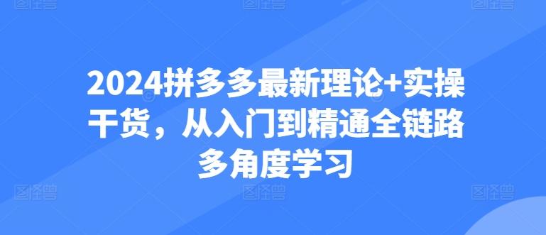2024拼多多最新理论+实操干货，从入门到精通全链路多角度学习-苍穹网创