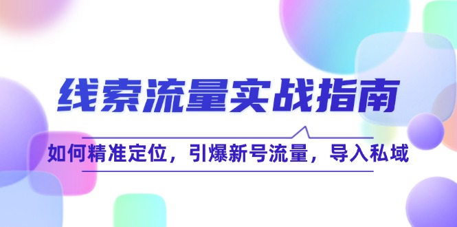线 索 流 量-实战指南：如何精准定位，引爆新号流量，导入私域-苍穹网创