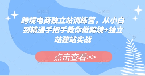 跨境电商独立站训练营，从小白到精通手把手教你做跨境+独立站建站实战-苍穹网创