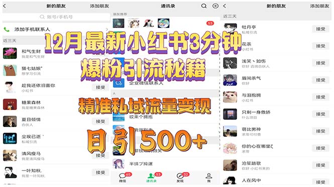 12月最新小红书3分钟爆粉引流秘籍 精准私域流量变现 日引500+-苍穹网创
