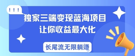 独家三端变现蓝海项目，让你收益最大化，长尾流无限躺挣-苍穹网创