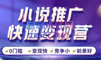洲洲老师·小说推广快速变现营-苍穹网创