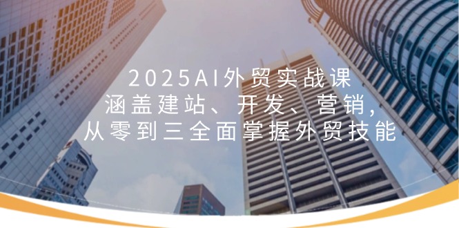 2025AI外贸实战课：涵盖建站、开发、营销, 从零到三全面掌握外贸技能-苍穹网创