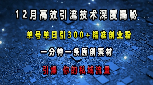 最新高效引流技术深度揭秘 ，单号单日引300+精准创业粉，一分钟一条原创素材，引爆你的私域流量-苍穹网创