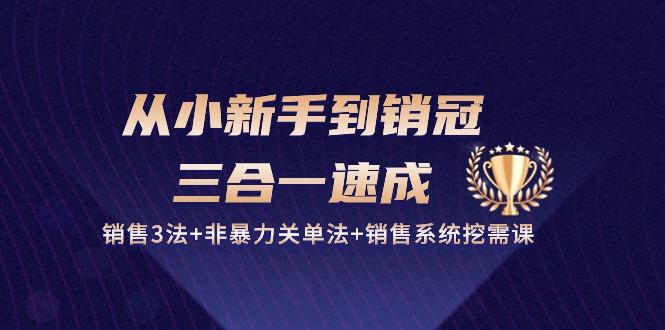 从小新手到销冠 三合一速成：销售3法+非暴力关单法+销售系统挖需课 (27节-苍穹网创