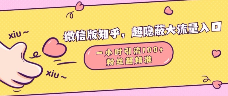 微信版知乎，超隐蔽流量入口1小时引流100人，粉丝质量超高【揭秘】-苍穹网创