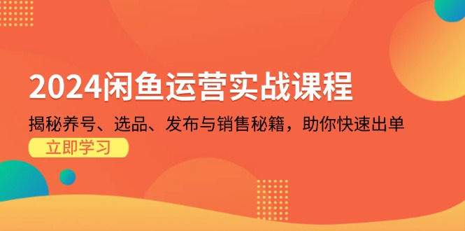 2024闲鱼运营实战课程：揭秘养号、选品、发布与销售秘籍，助你快速出单-苍穹网创