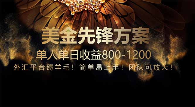 免费技术！小众赛道！一年布局抵三年努力，每日800+-苍穹网创