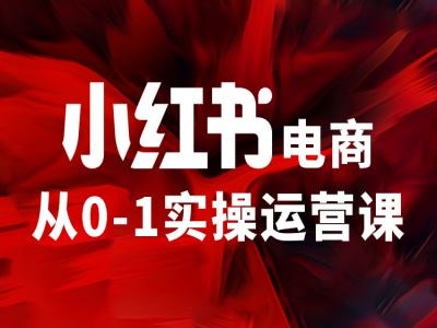 小红书电商从0-1实操运营课，让你从小白到精英-苍穹网创