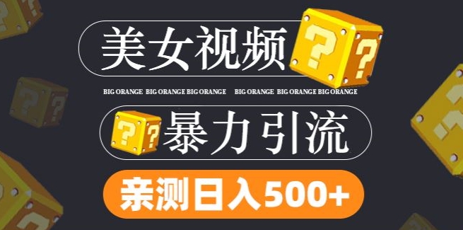 搬运tk美女视频全网分发，日引s粉300+，轻松变现，不限流量不封号【揭秘】-苍穹网创