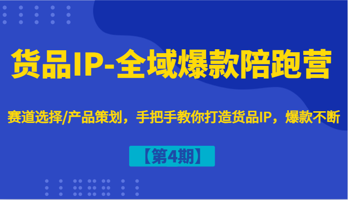 货品IP-全域爆款陪跑营【第4期】赛道选择/产品策划，手把手教你打造货品IP，爆款不断-苍穹网创