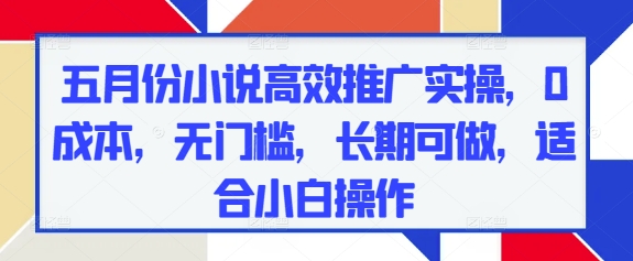 五月份小说高效推广实操，0成本，无门槛，长期可做，适合小白操作-苍穹网创