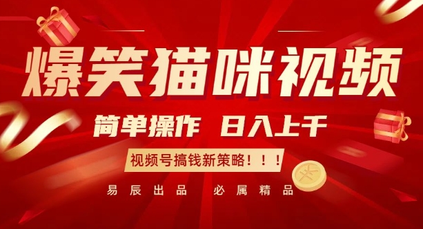 爆笑猫咪视频：简单操作，日入过K，视频号搞钱新策略【揭秘】-苍穹网创