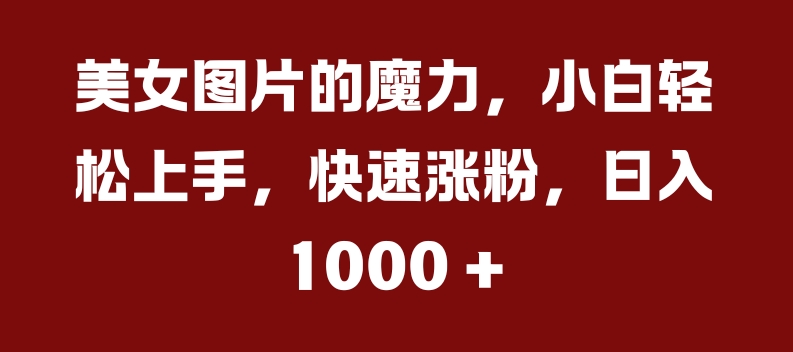 美女图片的魔力，小白轻松上手，快速涨粉，日入几张【揭秘】-苍穹网创