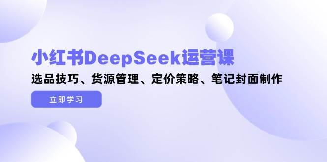 小红书DeepSeek运营课，选品技巧、货源管理、定价策略、笔记封面制作-苍穹网创