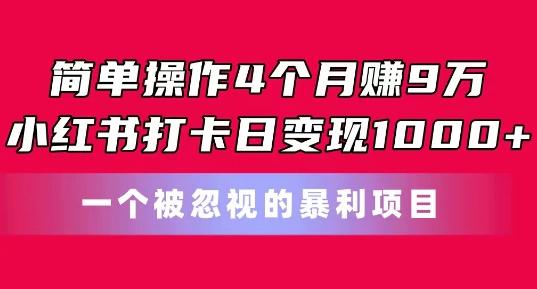 简单操作4个月赚9w，小红书打卡日变现1k，一个被忽视的暴力项目【揭秘】-苍穹网创