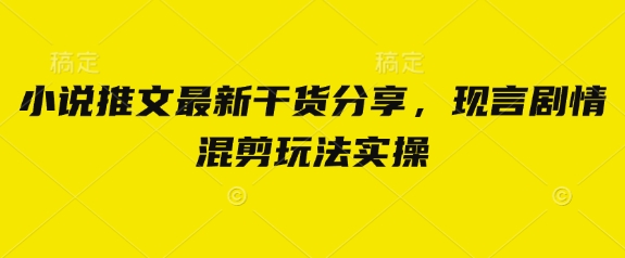 小说推文最新干货分享，现言剧情混剪玩法实操-苍穹网创