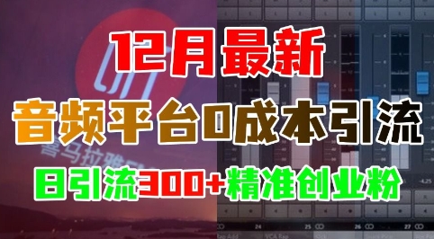 12月最新：音频平台0成本引流，日引流300+精准创业粉-苍穹网创