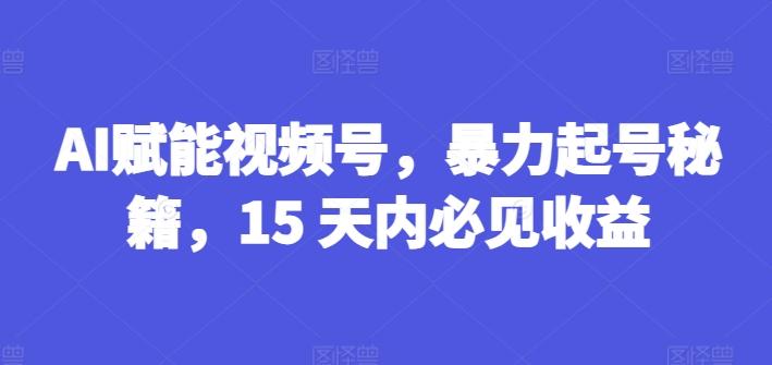 AI赋能视频号，暴力起号秘籍，15 天内必见收益【揭秘】-苍穹网创