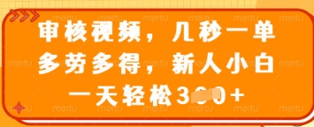 审核视频，几秒一单，多劳多得，新人小白一天轻松3张【揭秘】-苍穹网创