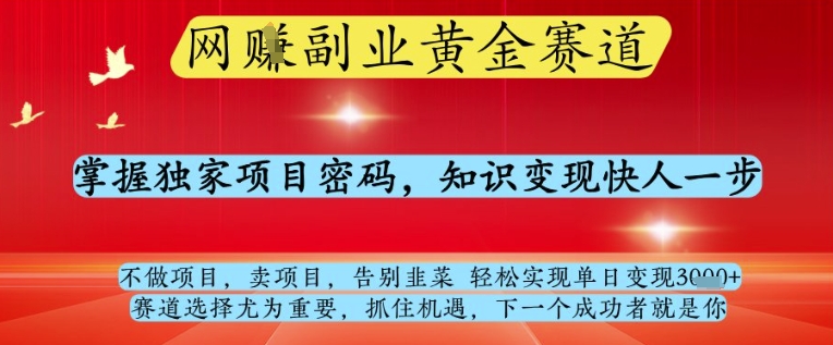 网创副业黄全赛道，掌握独家项目密码，知识变现快人一步，告别韭菜轻松实现单日变现1k+【揭秘】-苍穹网创