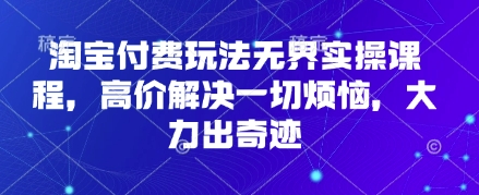 淘宝付费玩法无界实操课程，高价解决一切烦恼，大力出奇迹-苍穹网创