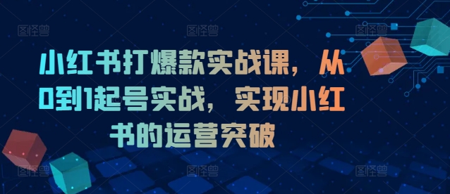 小红书打爆款实战课，从0到1起号实战，实现小红书的运营突破-苍穹网创