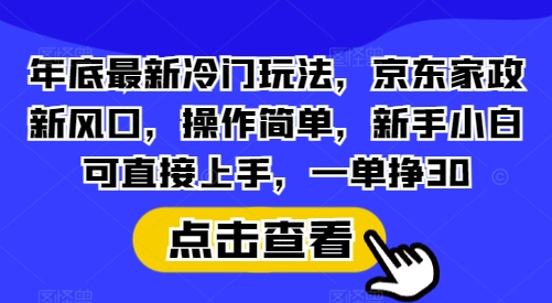 年底最新冷门玩法，京东家政新风口，操作简单，新手小白可直接上手，一单挣30【揭秘】-苍穹网创